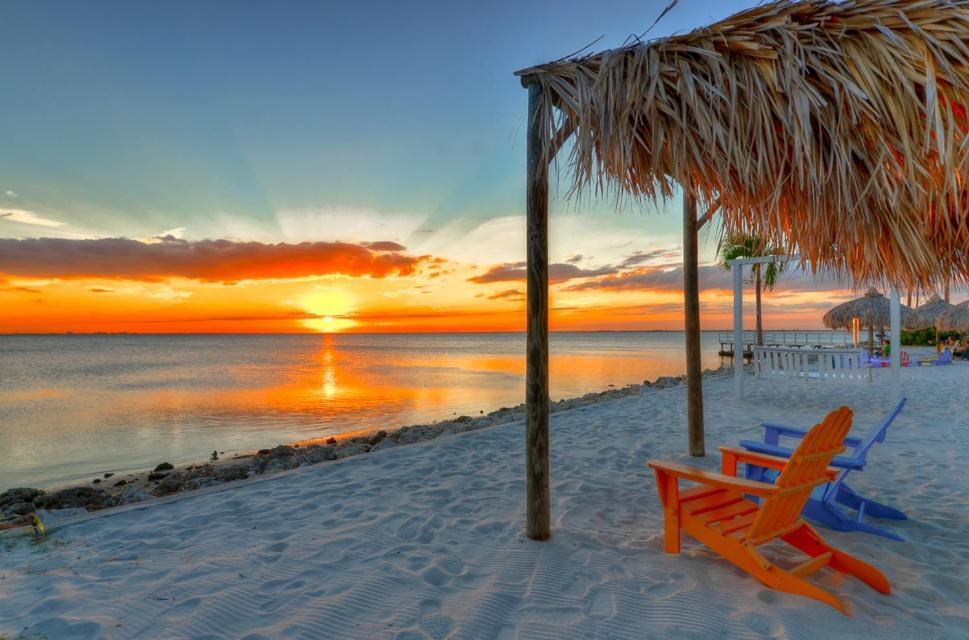 202-Pool, Wifi, Close To Bucs Stadium Tampa Luaran gambar