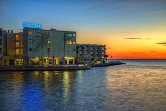 202-Pool, Wifi, Close To Bucs Stadium Tampa Luaran gambar
