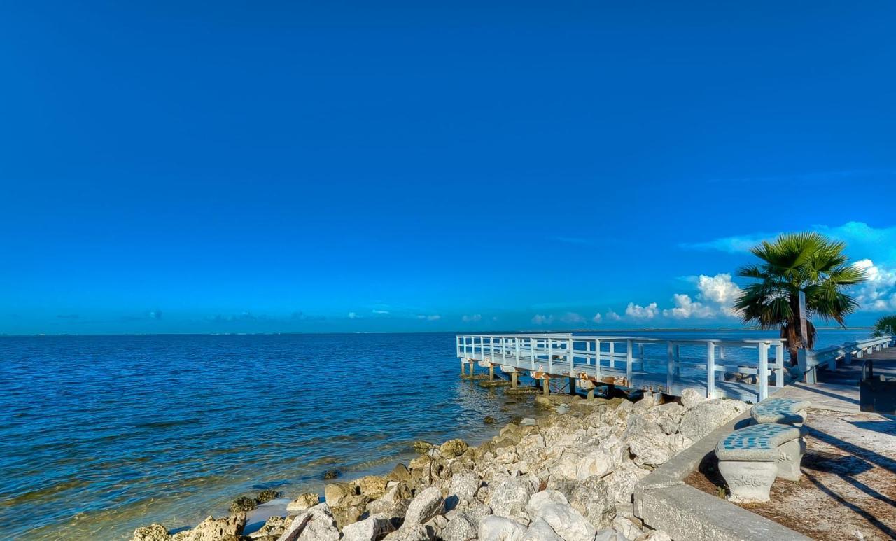 202-Pool, Wifi, Close To Bucs Stadium Tampa Luaran gambar